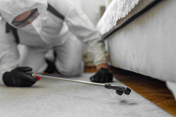 Professional Cockroach Control technician working in Springfield, KY