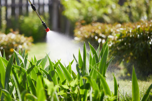 24/7 Emergency Cockroach Control experts in Springfield, KY